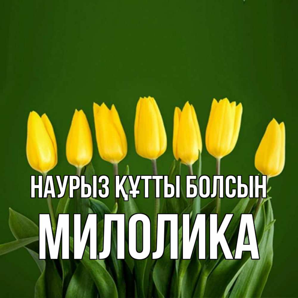 Открытка на каждый день с именем, Милолика Наурыз құтты болсын желтого цвета 3 Прикольная открытка с пожеланием онлайн скачать бесплатно 