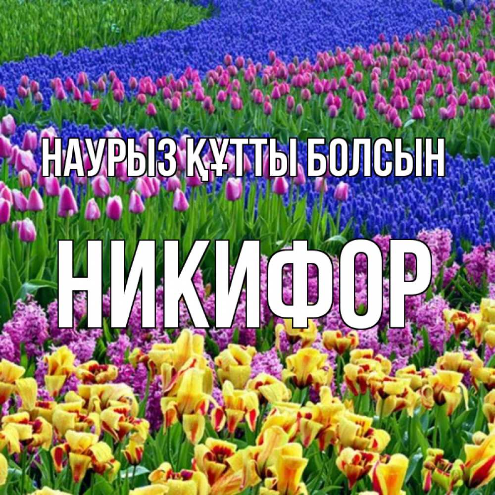 Открытка на каждый день с именем, Никифор Наурыз құтты болсын цветы Прикольная открытка с пожеланием онлайн скачать бесплатно 