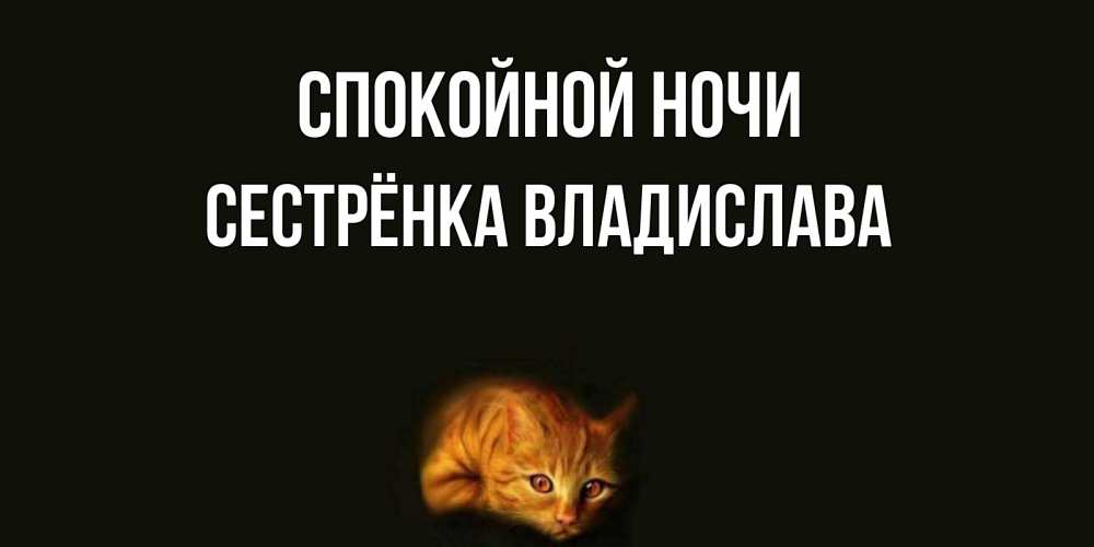 Открытка на каждый день с именем, Сестрёнка-Владислава Спокойной ночи кот Прикольная открытка с пожеланием онлайн скачать бесплатно 