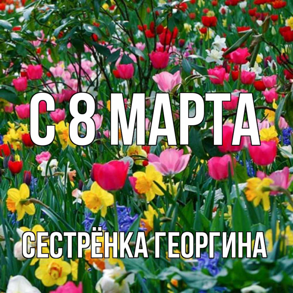 Открытка на каждый день с именем, Сестрёнка-Георгина С 8 марта с международным женским днем поздравления для женщины Прикольная открытка с пожеланием онлайн скачать бесплатно 