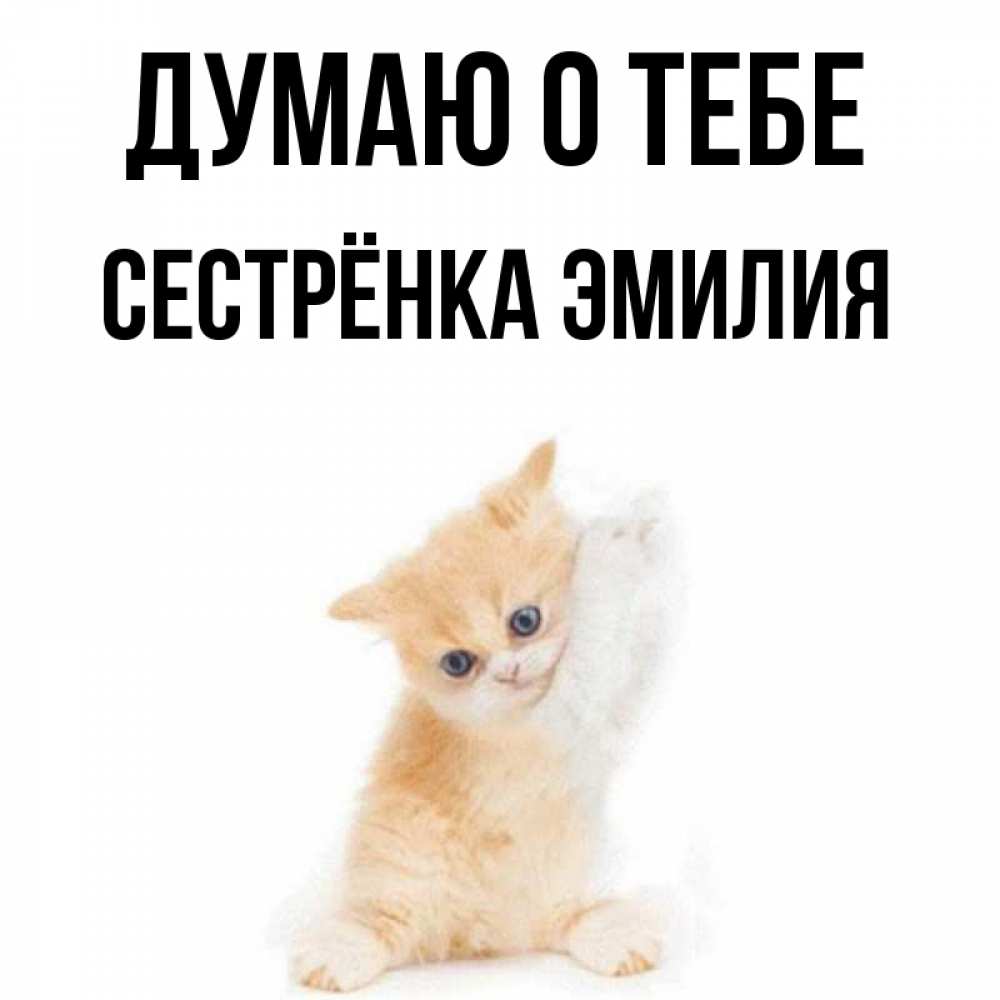 Открытка на каждый день с именем, Сестрёнка-Эмилия Думаю о тебе зверушки и милота Прикольная открытка с пожеланием онлайн скачать бесплатно 