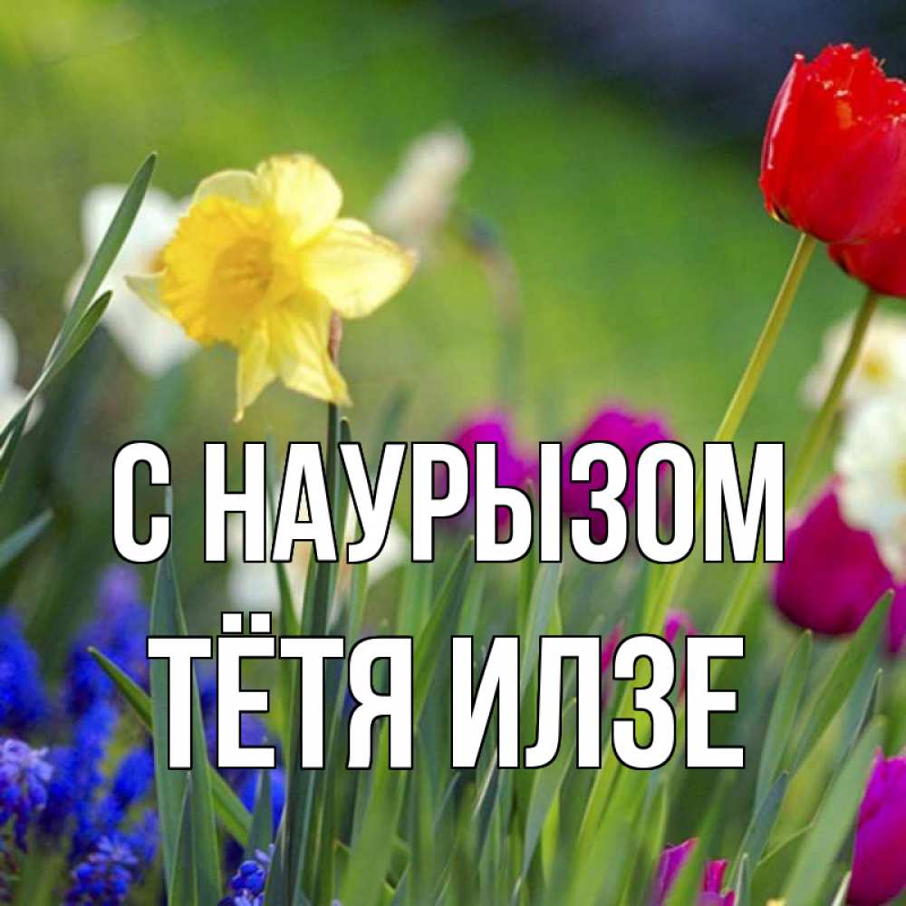 Открытка на каждый день с именем, Тётя-Илзе С наурызом праздник весны наурыз 3 Прикольная открытка с пожеланием онлайн скачать бесплатно 