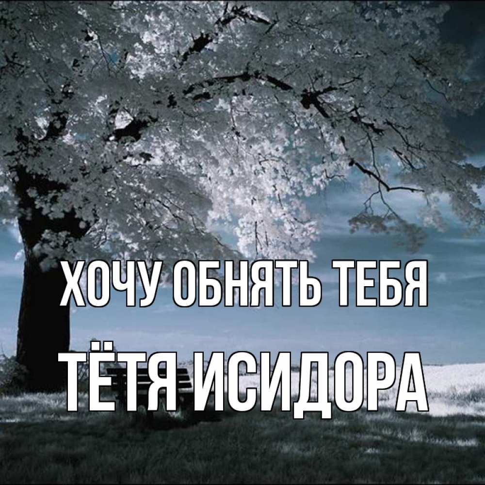Открытка на каждый день с именем, Тётя-Исидора Хочу обнять тебя дерево Прикольная открытка с пожеланием онлайн скачать бесплатно 