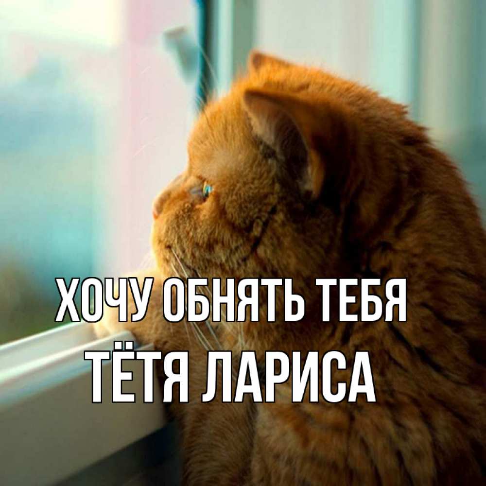 Открытка на каждый день с именем, Тётя-Лариса Хочу обнять тебя большой огромный рыжий котяра Прикольная открытка с пожеланием онлайн скачать бесплатно 