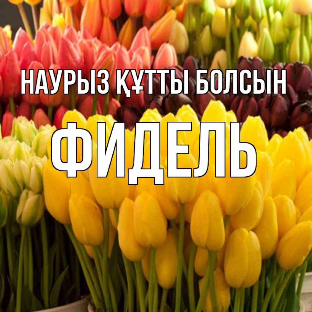 Открытка на каждый день с именем, Фидель Наурыз құтты болсын цветы Прикольная открытка с пожеланием онлайн скачать бесплатно 
