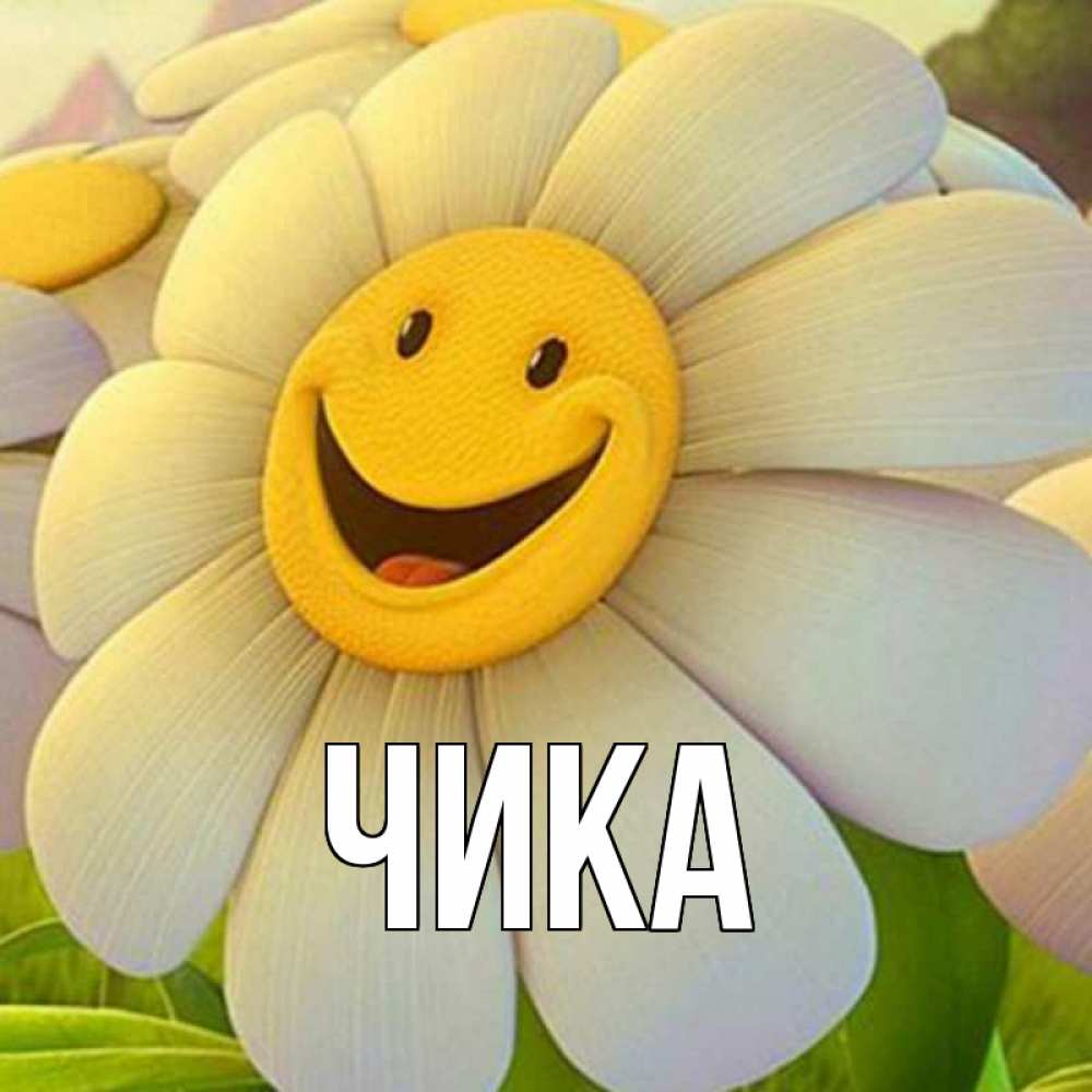 Открытка на каждый день с именем, Чика Главная огромная улыбающаяся ромашуща Прикольная открытка с пожеланием онлайн скачать бесплатно 