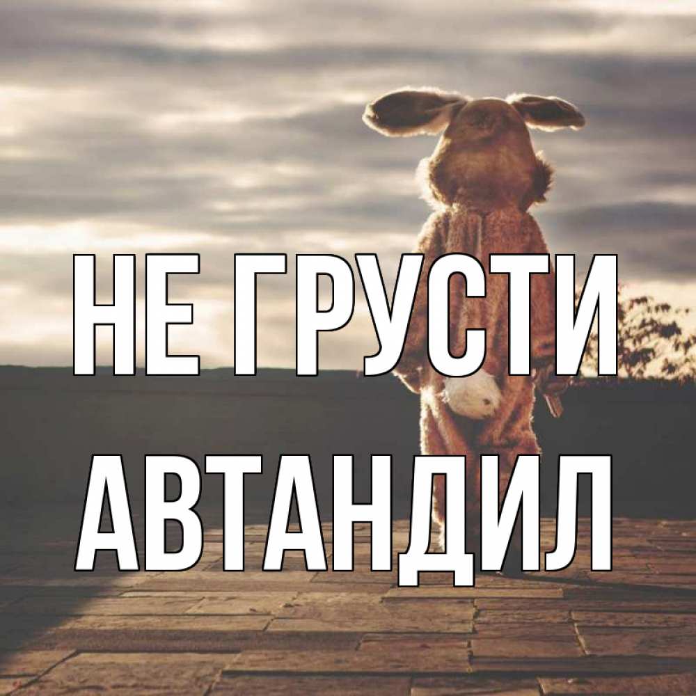 Открытка на каждый день с именем, Автандил Не грусти со спины Прикольная открытка с пожеланием онлайн скачать бесплатно 