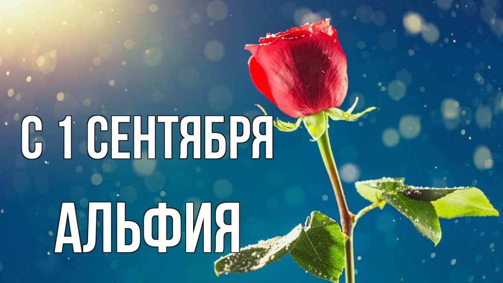 Открытка на каждый день с именем, Альфия С 1 сентября с днем знаний Прикольная открытка с пожеланием онлайн скачать бесплатно 