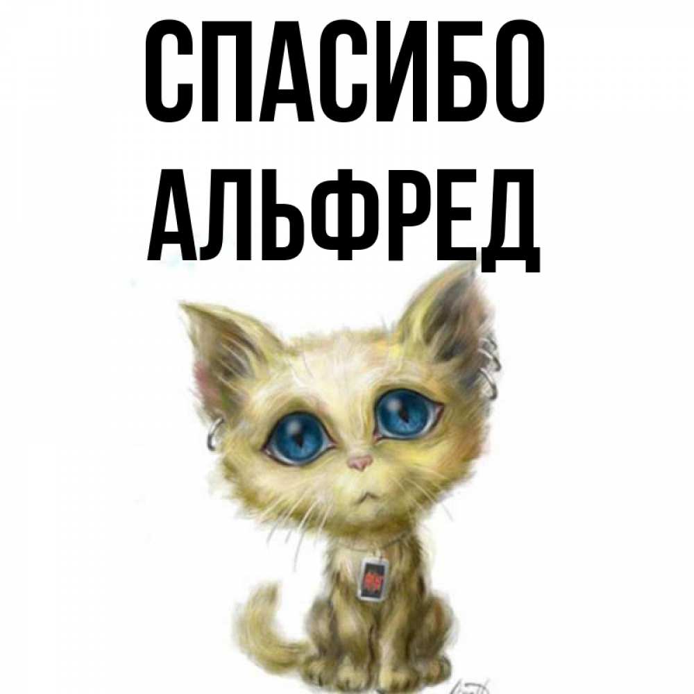 Открытка на каждый день с именем, Альфред Спасибо рисованный кот благодарит вас Прикольная открытка с пожеланием онлайн скачать бесплатно 