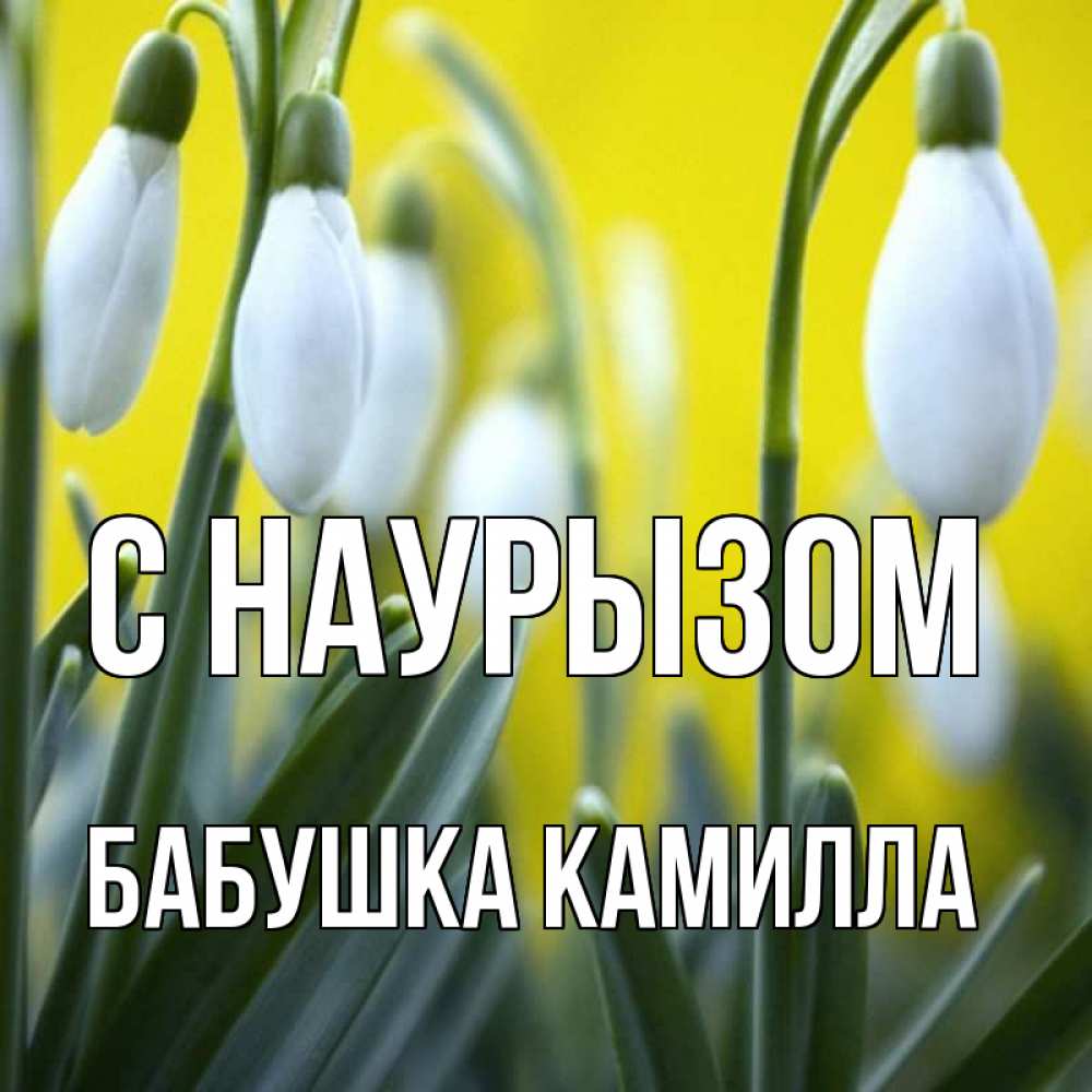Открытка на каждый день с именем, Бабушка-Камилла С наурызом весенние цветы Прикольная открытка с пожеланием онлайн скачать бесплатно 