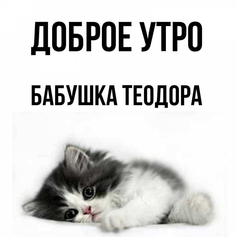 Открытка на каждый день с именем, Бабушка-Теодора Доброе утро кот лапки Прикольная открытка с пожеланием онлайн скачать бесплатно 