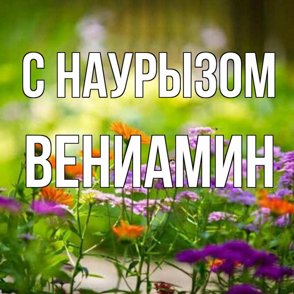 Открытка на каждый день с именем, Вениамин С наурызом цветы Прикольная открытка с пожеланием онлайн скачать бесплатно 