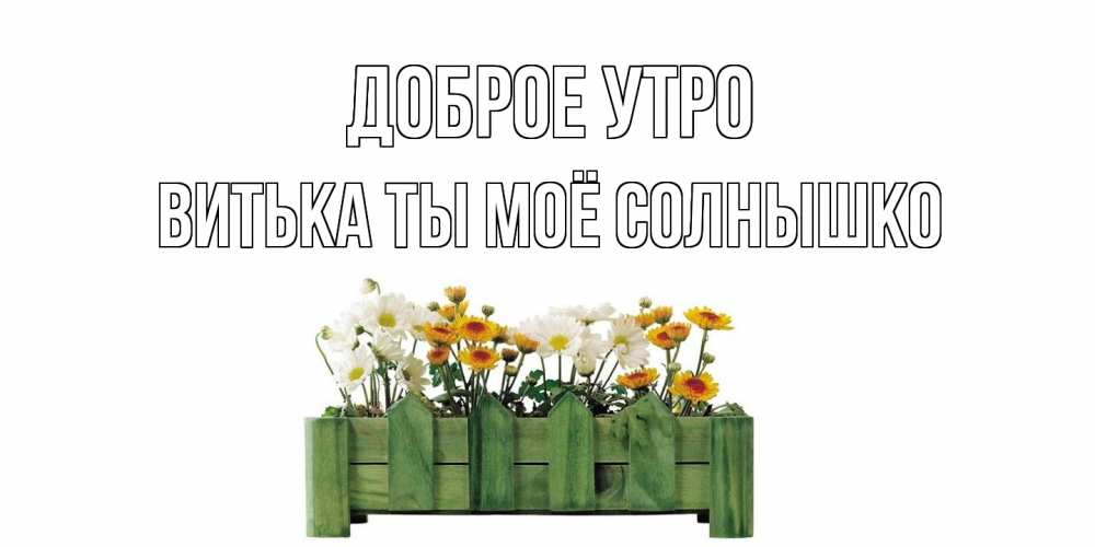 Открытка на каждый день с именем, Витька-ты-моё-солнышко Доброе утро цветы Прикольная открытка с пожеланием онлайн скачать бесплатно 
