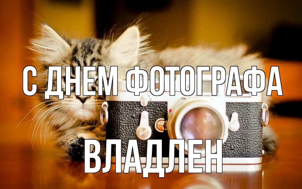 Открытка на каждый день с именем, Владлен С днем фотографа с днем фотографа Прикольная открытка с пожеланием онлайн скачать бесплатно 