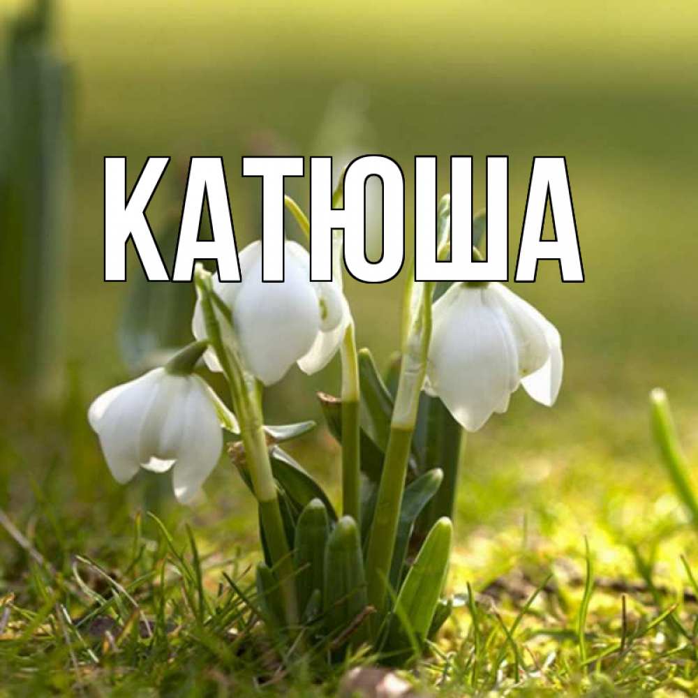 Открытка на каждый день с именем, Катюша Главная ранние цветы 2 Прикольная открытка с пожеланием онлайн скачать бесплатно 