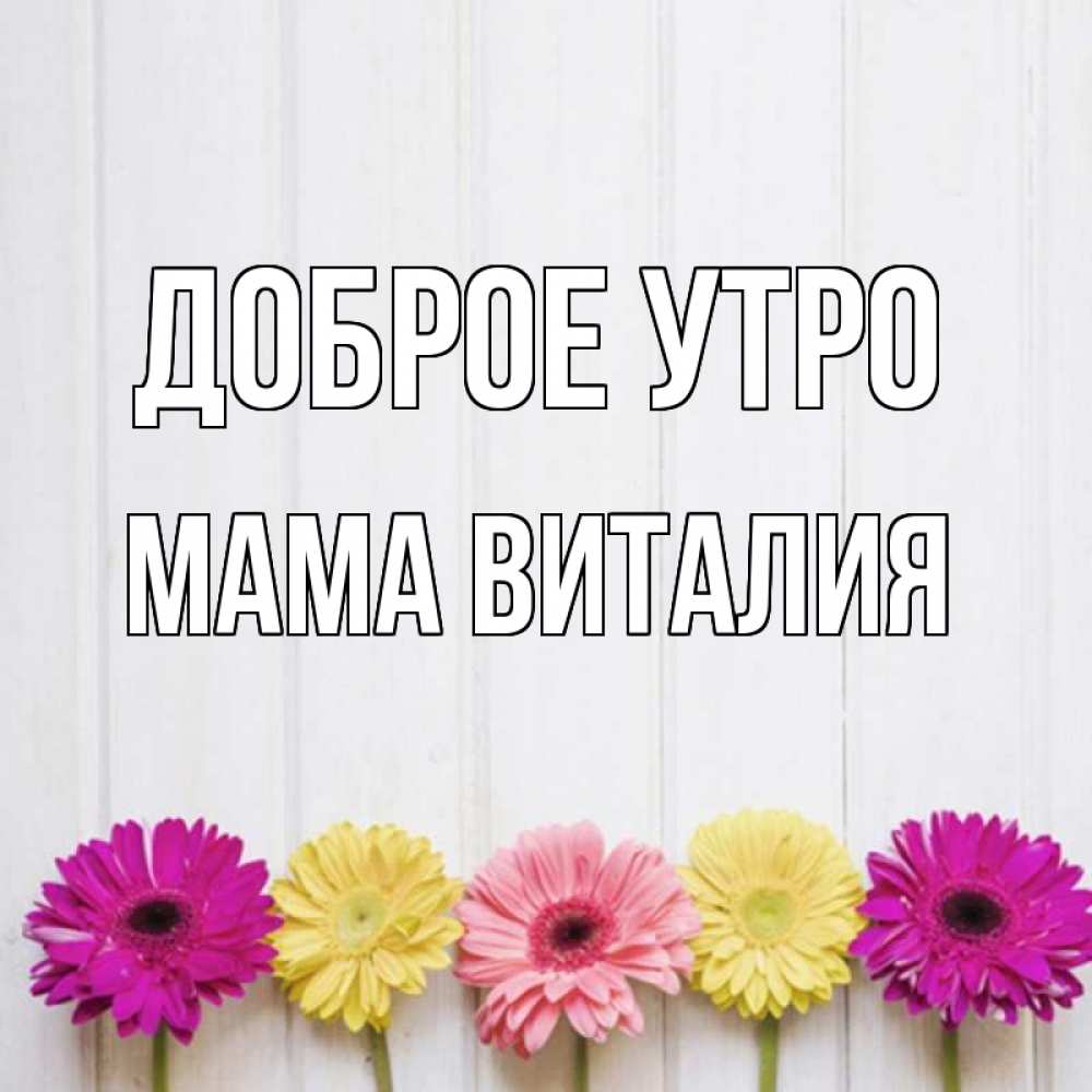 Открытка на каждый день с именем, Мама-Виталия Доброе утро красный желтый и розовый цветок Прикольная открытка с пожеланием онлайн скачать бесплатно 