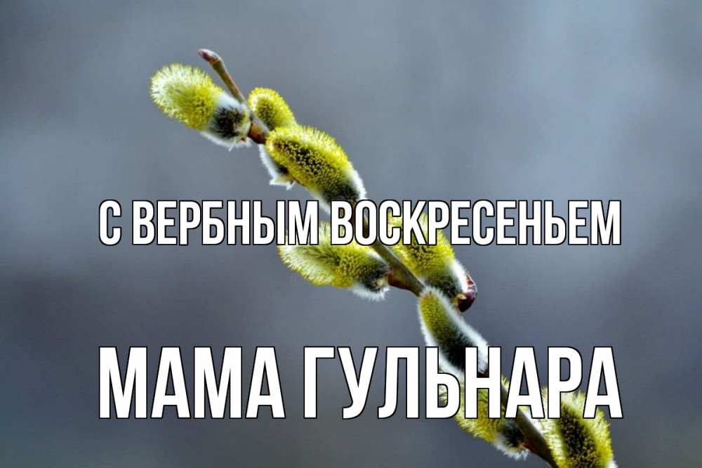 Открытка на каждый день с именем, Мама-Гульнара С вербным воскресеньем верба Прикольная открытка с пожеланием онлайн скачать бесплатно 