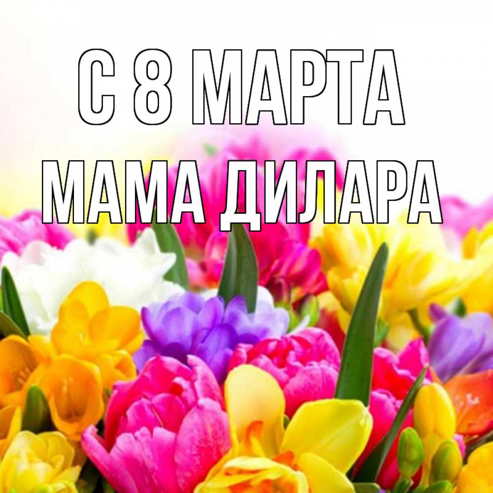 Открытка на каждый день с именем, Мама-Дилара С 8 марта тюльпаны Прикольная открытка с пожеланием онлайн скачать бесплатно 