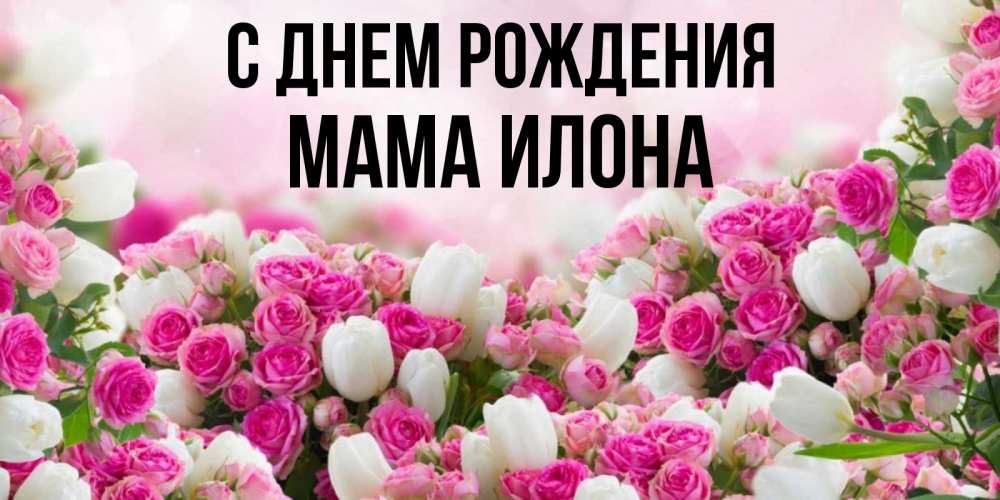 Открытка на каждый день с именем, Мама-Илона С днем рождения открытка с разными розами Прикольная открытка с пожеланием онлайн скачать бесплатно 