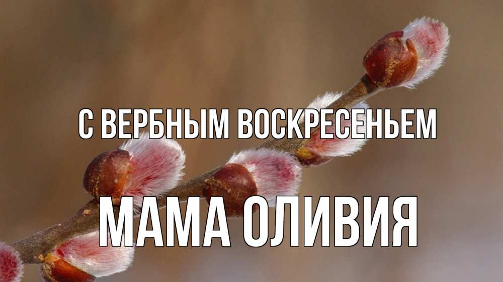 Открытка на каждый день с именем, Мама-Оливия С вербным воскресеньем верба Прикольная открытка с пожеланием онлайн скачать бесплатно 
