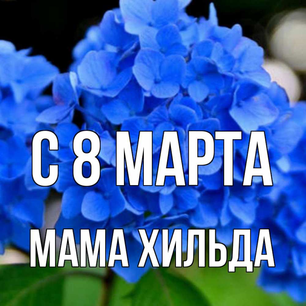 Открытка на каждый день с именем, Мама-Хильда С 8 марта синие цветы Прикольная открытка с пожеланием онлайн скачать бесплатно 