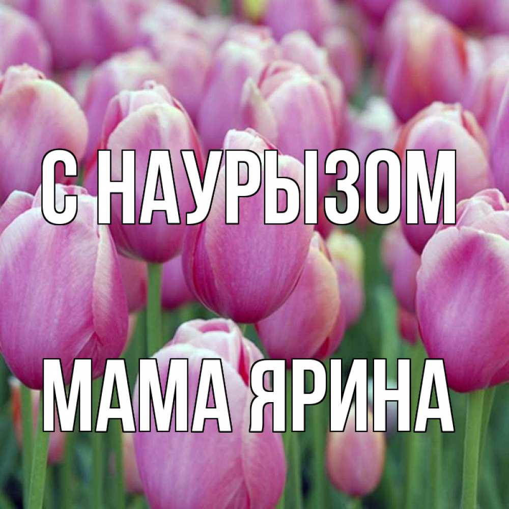 Открытка на каждый день с именем, Мама-Ярина С наурызом праздник весны наурыз 69 Прикольная открытка с пожеланием онлайн скачать бесплатно 
