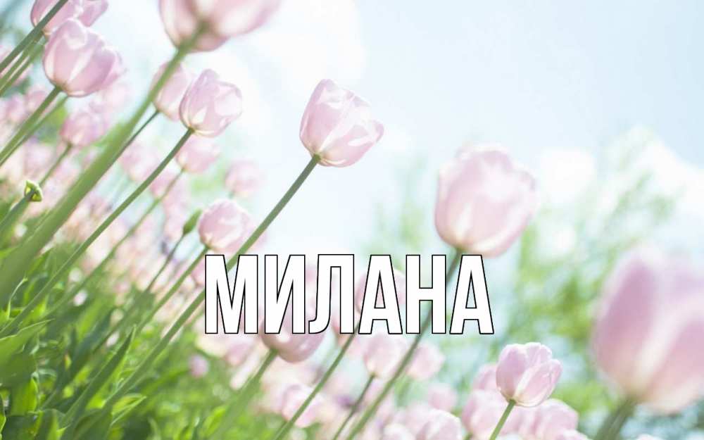 Открытка на каждый день с именем, Милана Главная С 1 мая Прикольная открытка с пожеланием онлайн скачать бесплатно 