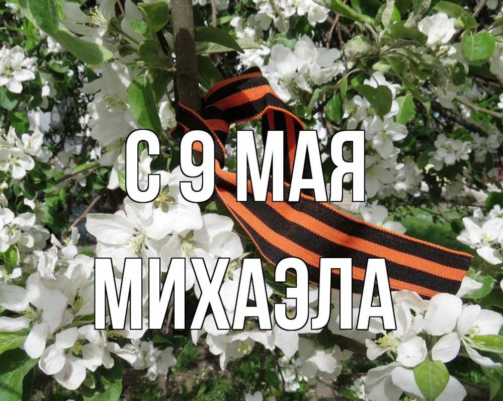 Открытка на каждый день с именем, Михаэла С 9 мая 9 мая Прикольная открытка с пожеланием онлайн скачать бесплатно 