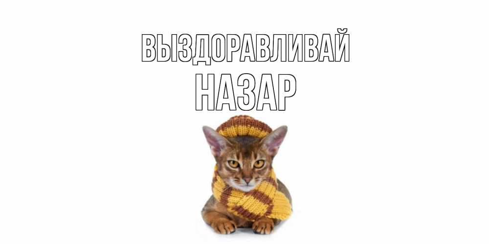 Открытка на каждый день с именем, Назар Выздоравливай родные не болейте Прикольная открытка с пожеланием онлайн скачать бесплатно 