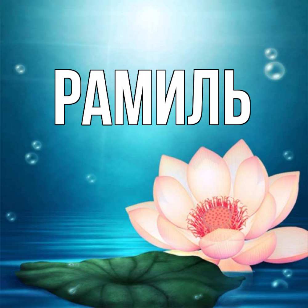 Открытка на каждый день с именем, Рамиль Главная кувшинка Прикольная открытка с пожеланием онлайн скачать бесплатно 