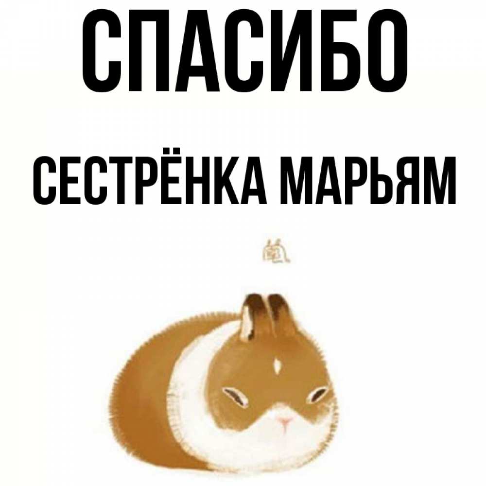 Открытка на каждый день с именем, Сестрёнка-Марьям Спасибо коричнево белый домашний питомец Прикольная открытка с пожеланием онлайн скачать бесплатно 