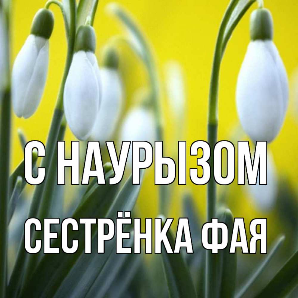 Открытка на каждый день с именем, Сестрёнка-Фая С наурызом весенние цветы Прикольная открытка с пожеланием онлайн скачать бесплатно 