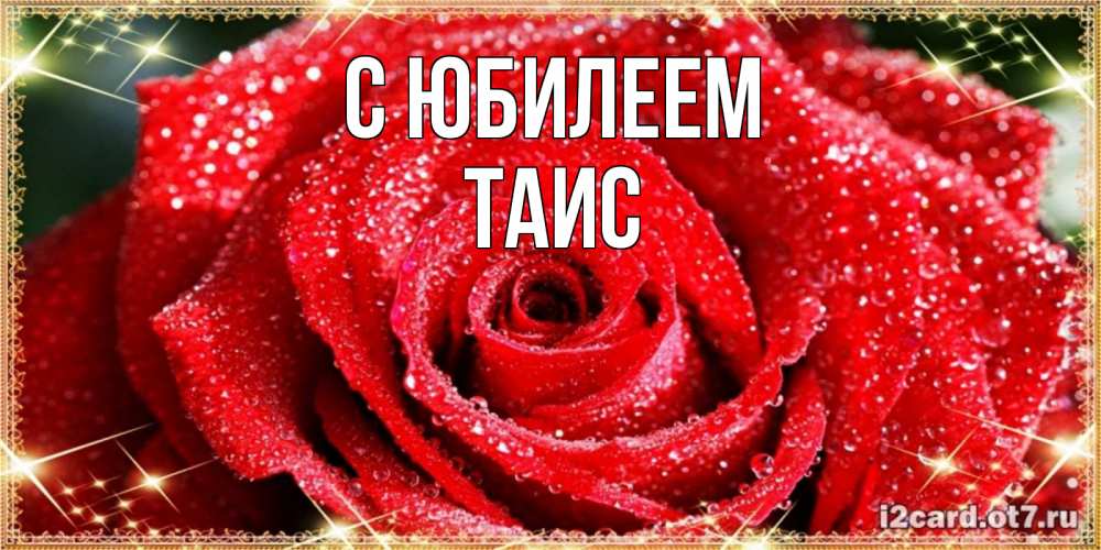 Открытка на каждый день с именем, Таис С юбилеем роса и роза. открытка с красивой розой Прикольная открытка с пожеланием онлайн скачать бесплатно 