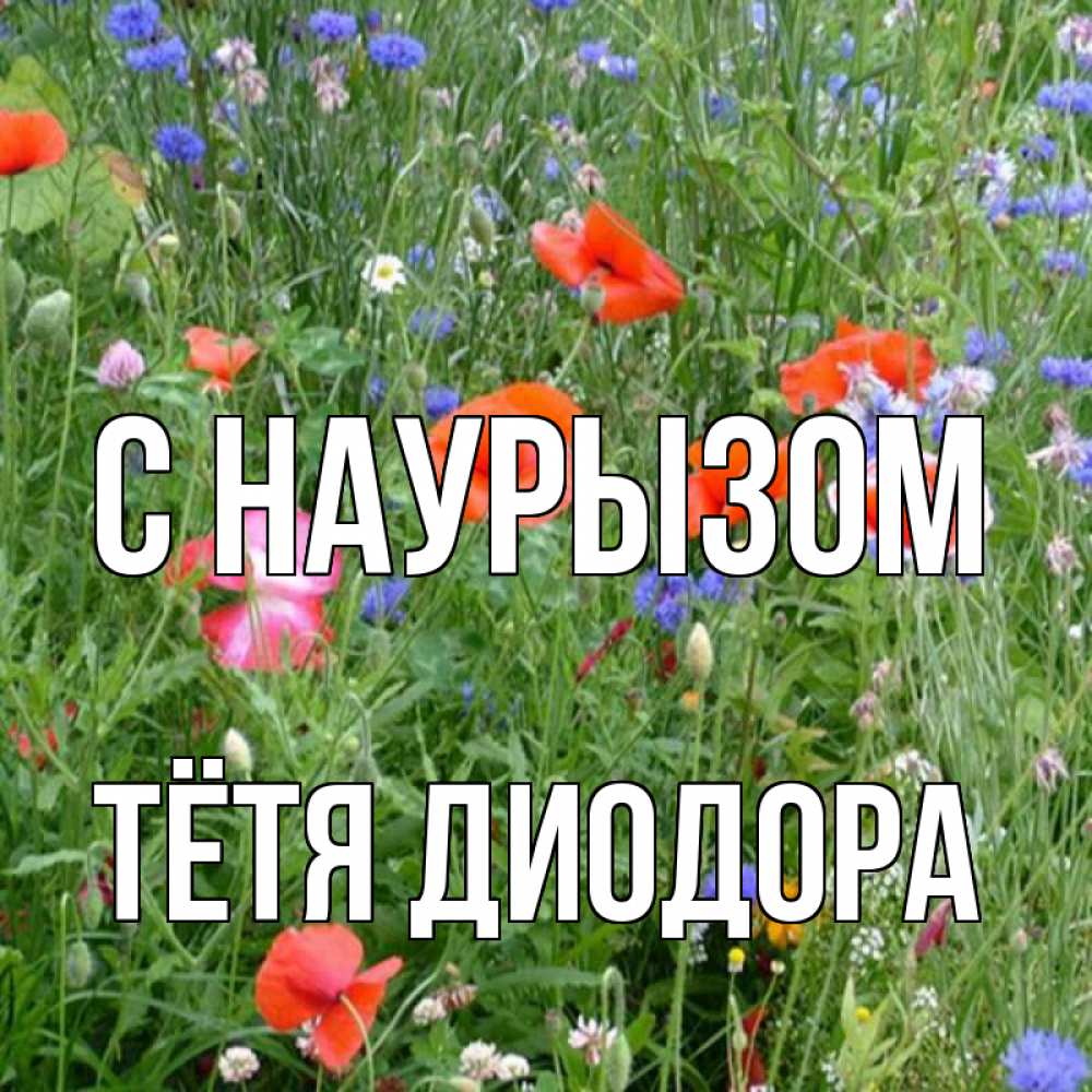 Открытка на каждый день с именем, Тётя-Диодора С наурызом праздник весны наурыз супер открытка Прикольная открытка с пожеланием онлайн скачать бесплатно 
