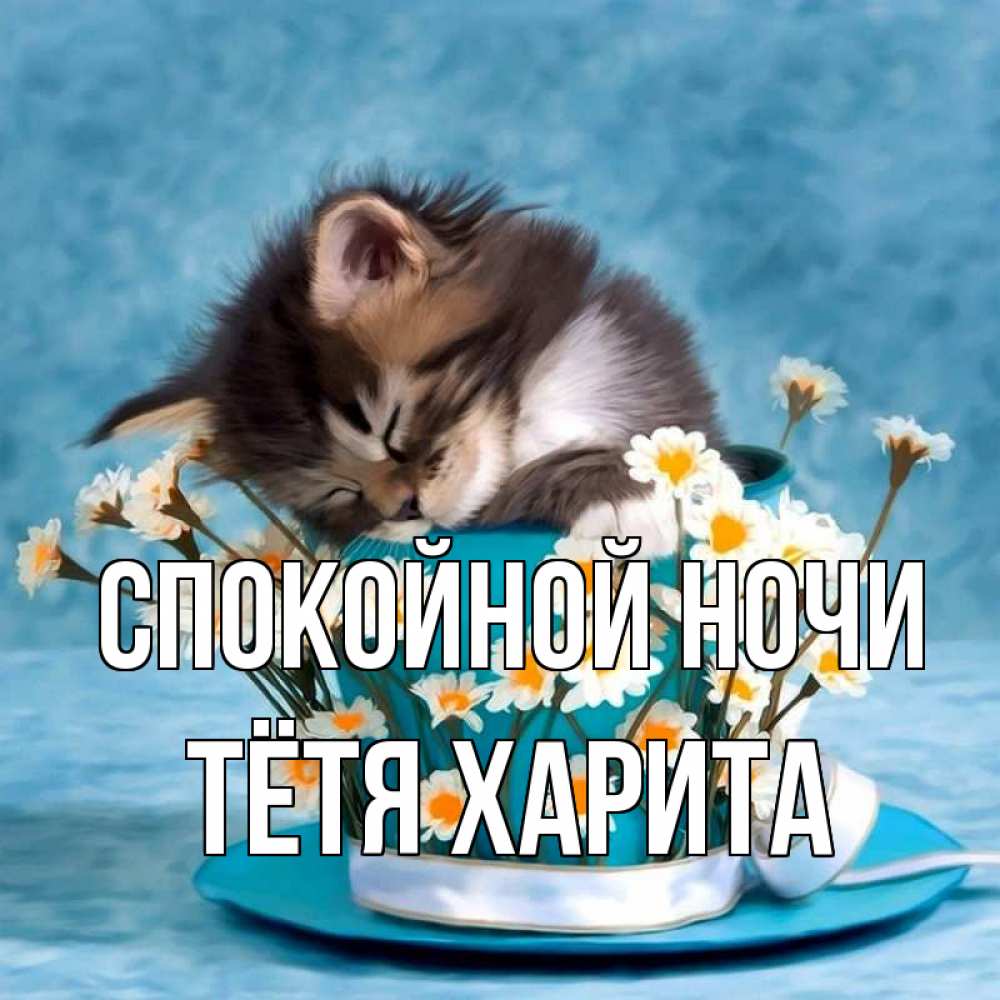 Открытка на каждый день с именем, Тётя-Харита Спокойной ночи котенок спит в кружке с блюдцем Прикольная открытка с пожеланием онлайн скачать бесплатно 