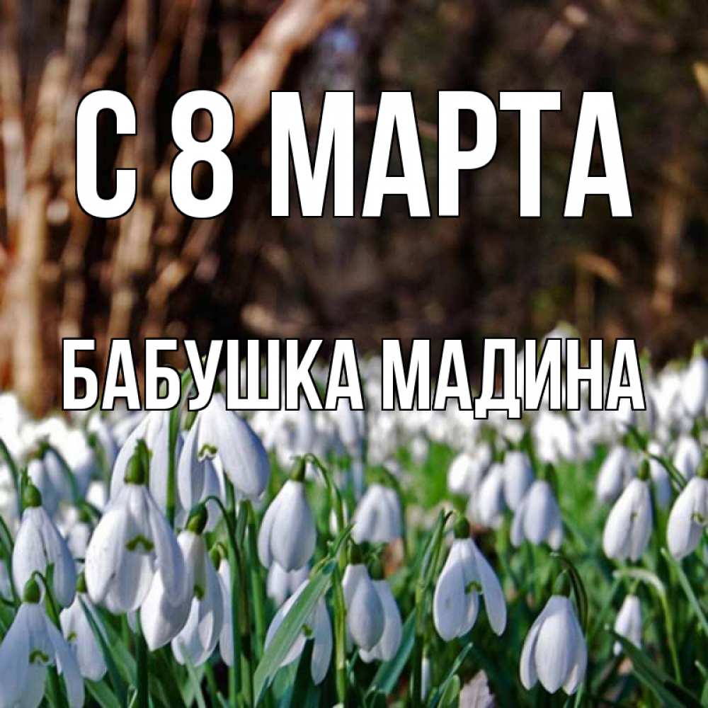 Открытка на каждый день с именем, Бабушка-Мадина С 8 марта с подснежниками 1 Прикольная открытка с пожеланием онлайн скачать бесплатно 