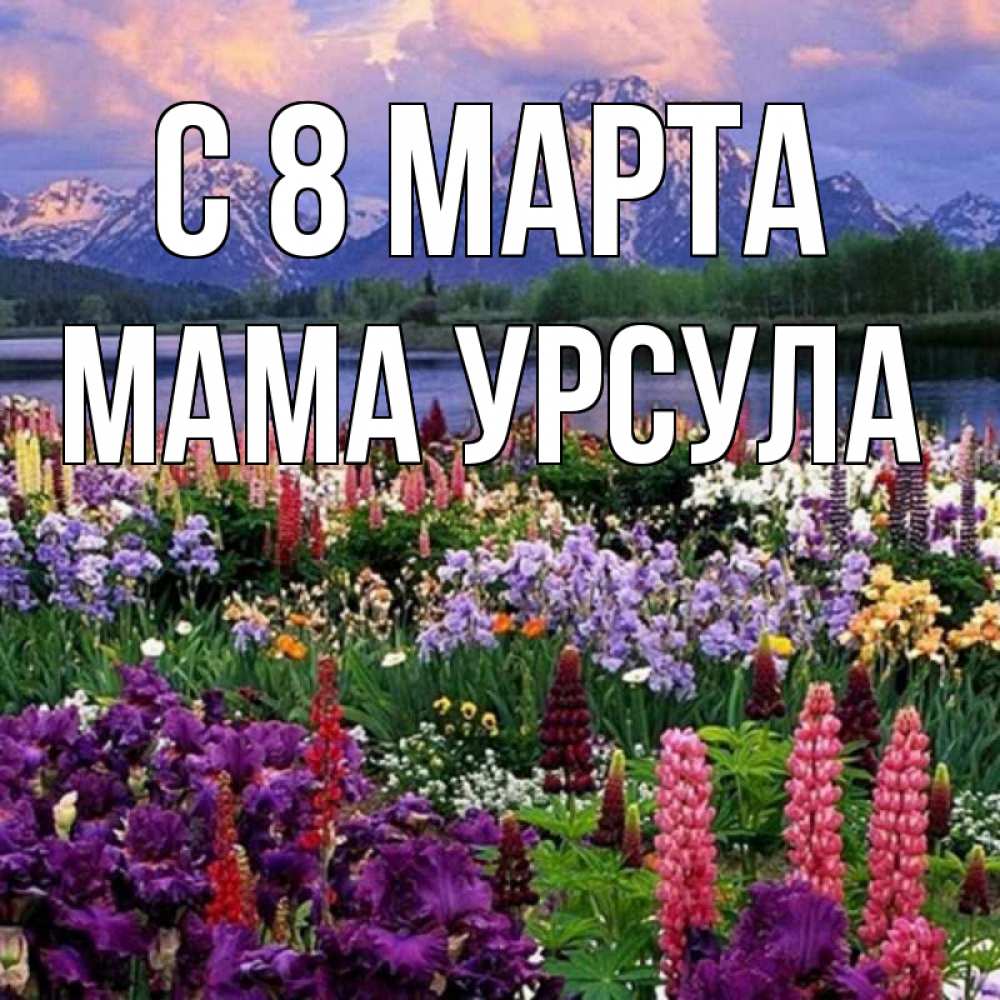 Открытка на каждый день с именем, Мама-Урсула С 8 МАРТА международный женский день Прикольная открытка с пожеланием онлайн скачать бесплатно 