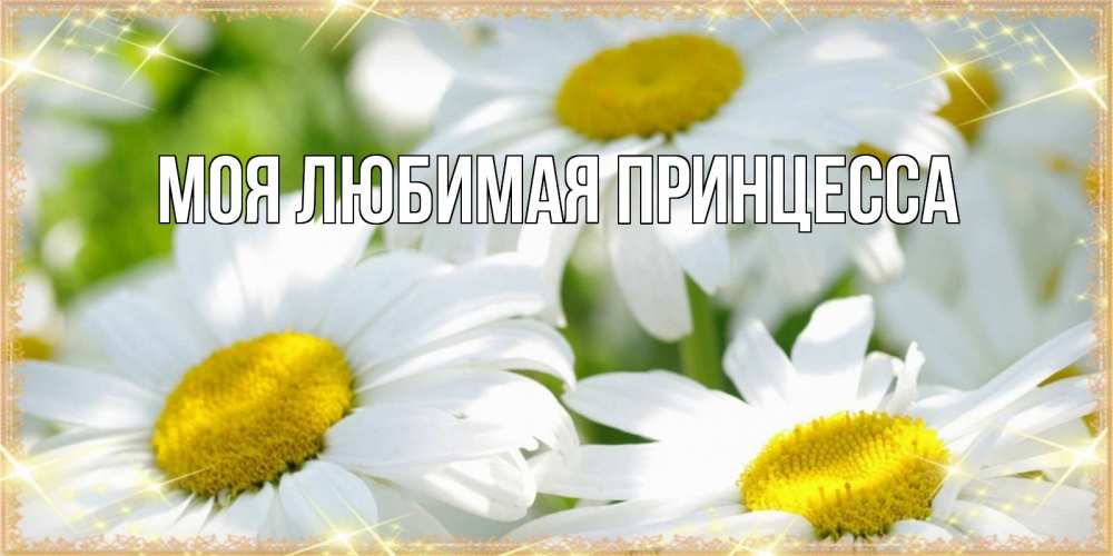 Открытка на каждый день с именем, Моя-Любимая-Принцесса Главная красивые открытки с белыми цветами на международный женский день Прикольная открытка с пожеланием онлайн скачать бесплатно 