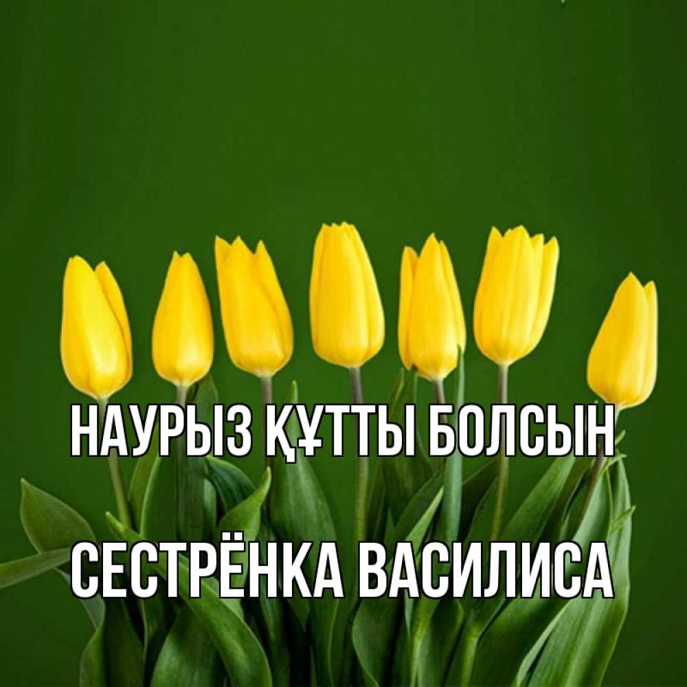Открытка на каждый день с именем, Сестрёнка-Василиса Наурыз құтты болсын желтого цвета 3 Прикольная открытка с пожеланием онлайн скачать бесплатно 