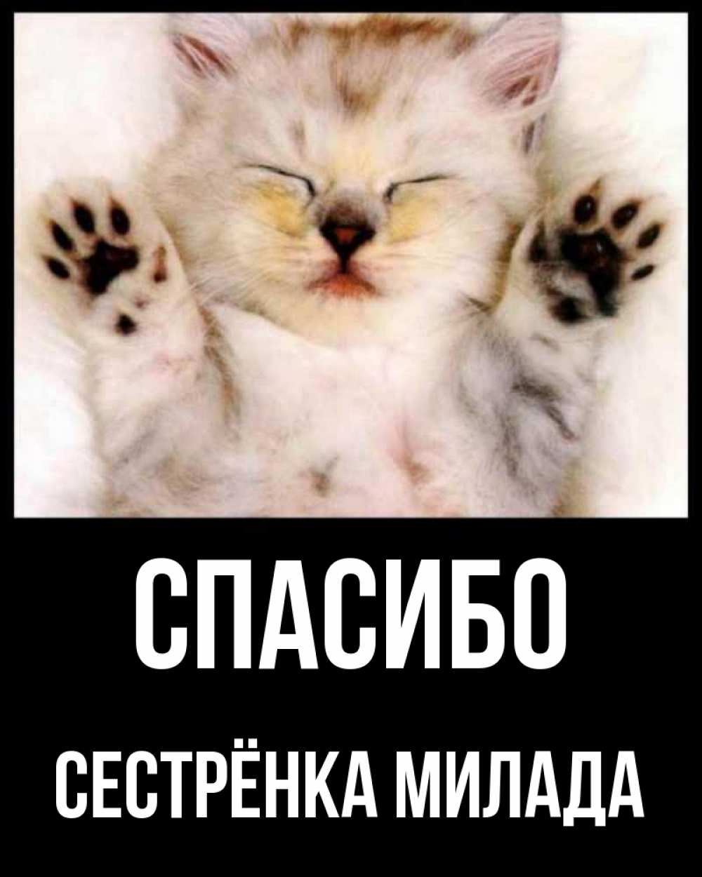 Открытка на каждый день с именем, Сестрёнка-Милада Спасибо маленький котенок Прикольная открытка с пожеланием онлайн скачать бесплатно 