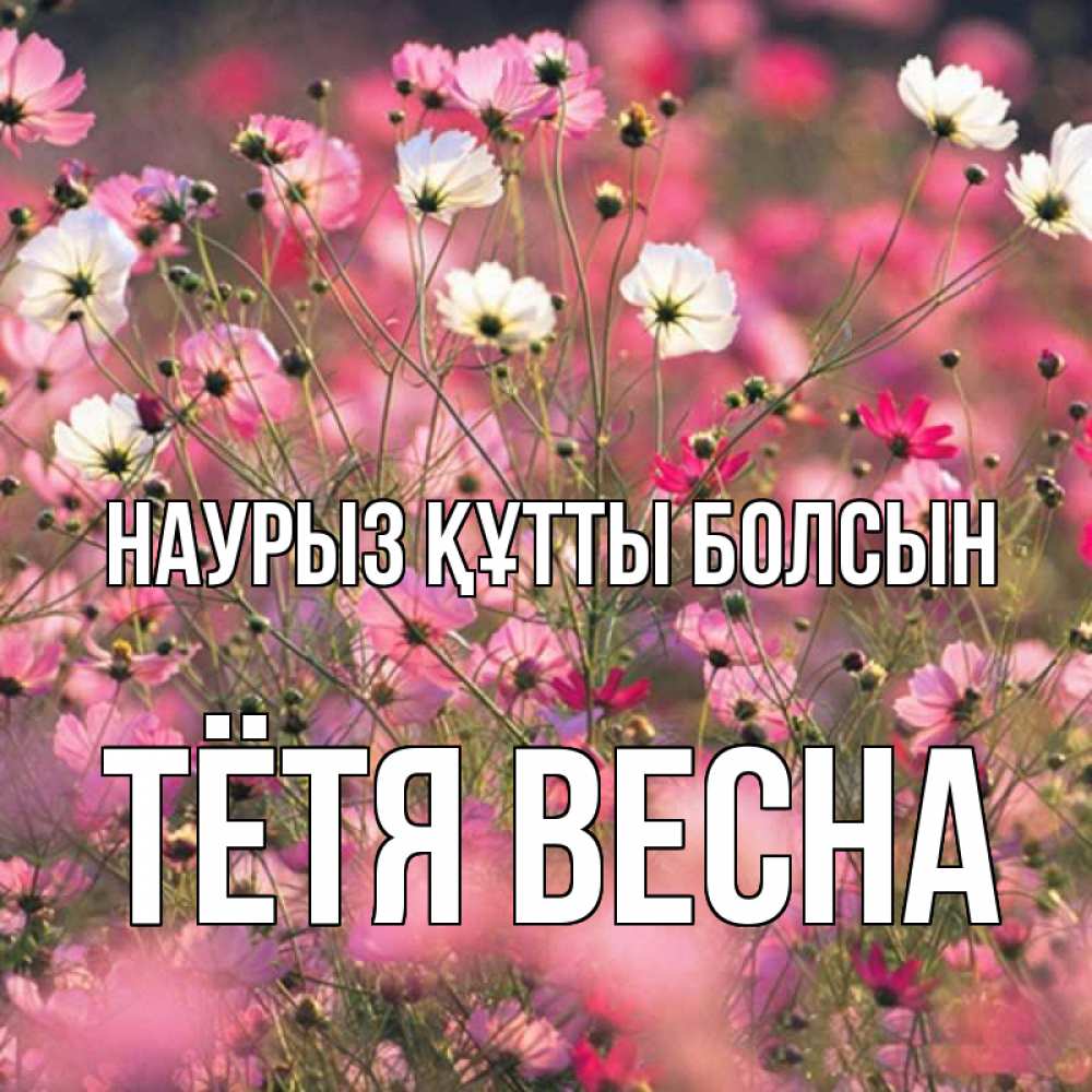 Открытка на каждый день с именем, Тётя-Весна Наурыз құтты болсын красиво 1 Прикольная открытка с пожеланием онлайн скачать бесплатно 