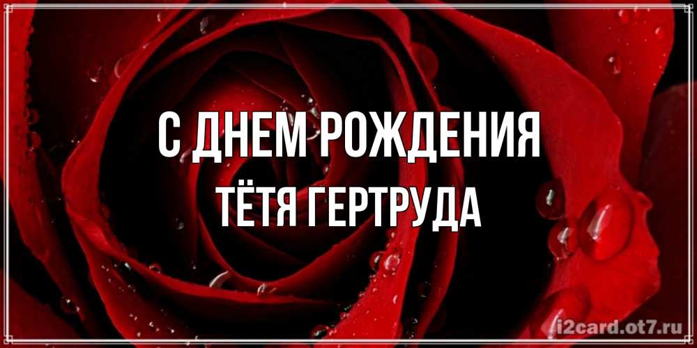 Открытка на каждый день с именем, Тётя-Гертруда С днем рождения крупная бордовая роза Прикольная открытка с пожеланием онлайн скачать бесплатно 