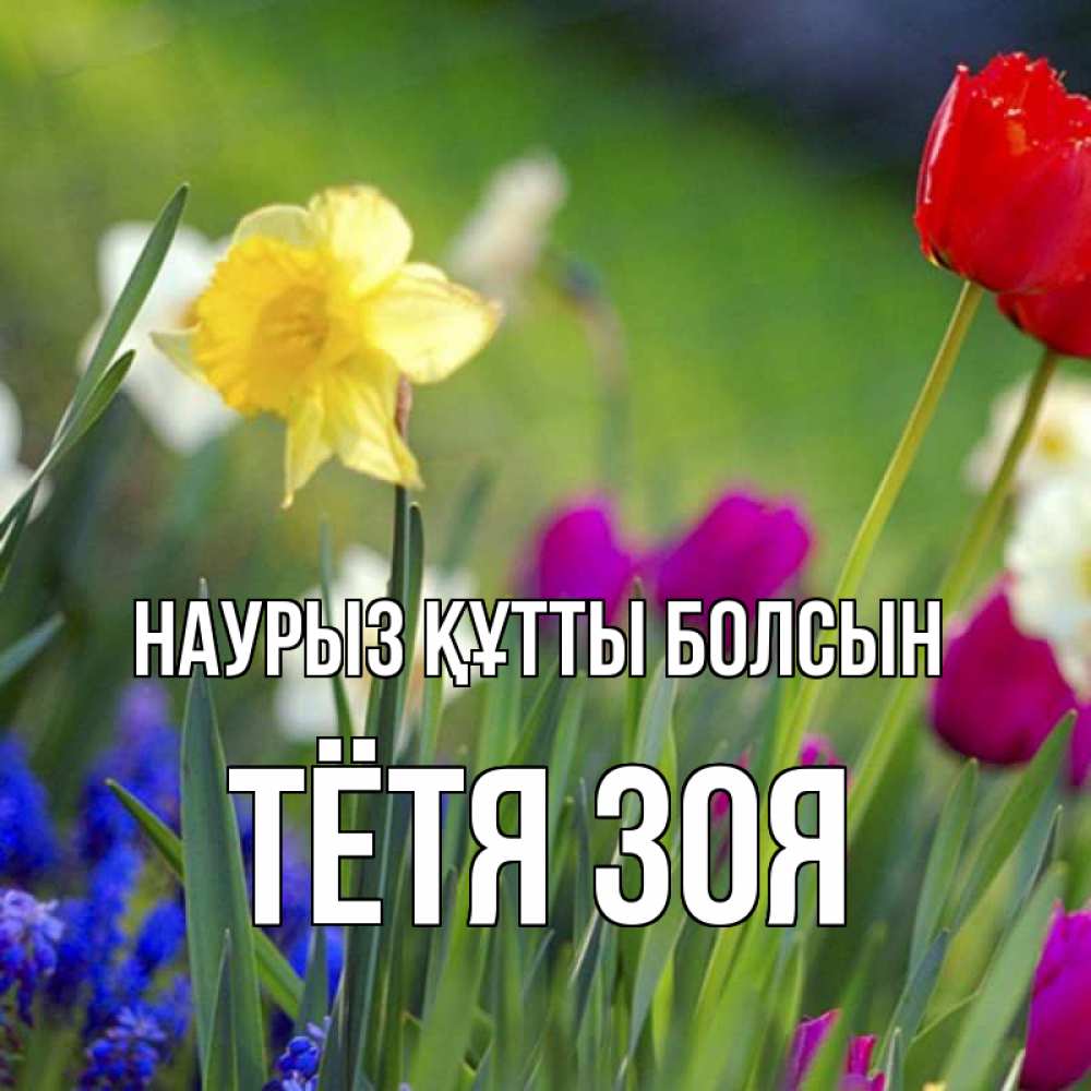 Открытка на каждый день с именем, Тётя-Зоя Наурыз құтты болсын наурыз  3 открытки Прикольная открытка с пожеланием онлайн скачать бесплатно 