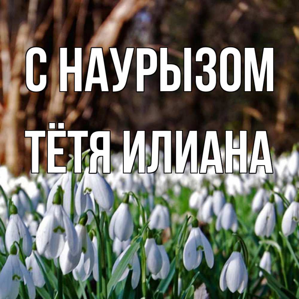 Открытка на каждый день с именем, Тётя-Илиана С наурызом с подснежниками 1 Прикольная открытка с пожеланием онлайн скачать бесплатно 