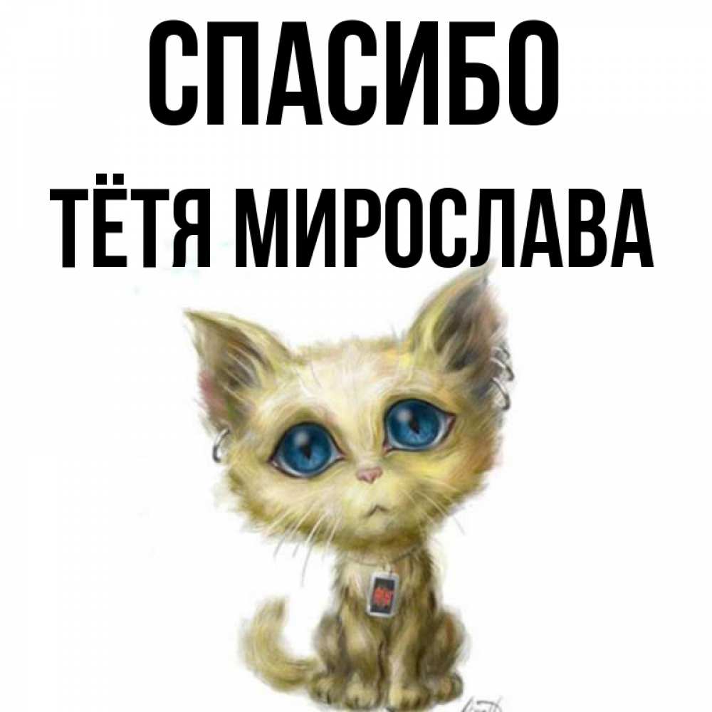Открытка на каждый день с именем, Тётя-Мирослава Спасибо рисованный кот благодарит вас Прикольная открытка с пожеланием онлайн скачать бесплатно 