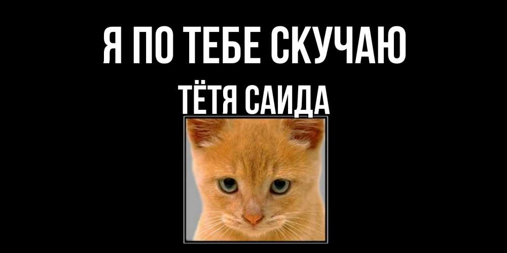 Открытка на каждый день с именем, Тётя-Саида Я по тебе скучаю открытки рыжий котенок скучает по тебе Прикольная открытка с пожеланием онлайн скачать бесплатно 