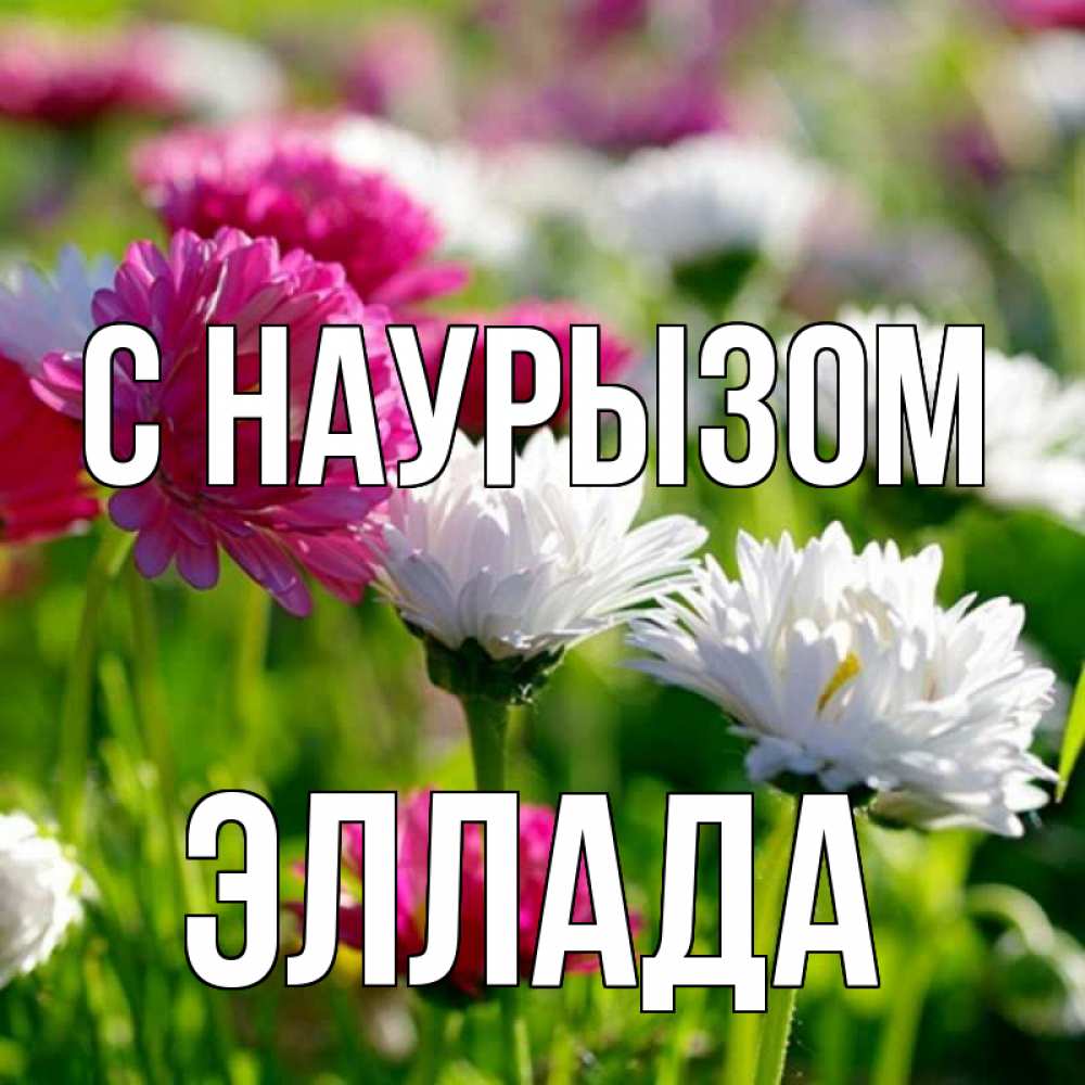 Открытка на каждый день с именем, Эллада С наурызом праздник весны наурыз красота Прикольная открытка с пожеланием онлайн скачать бесплатно 