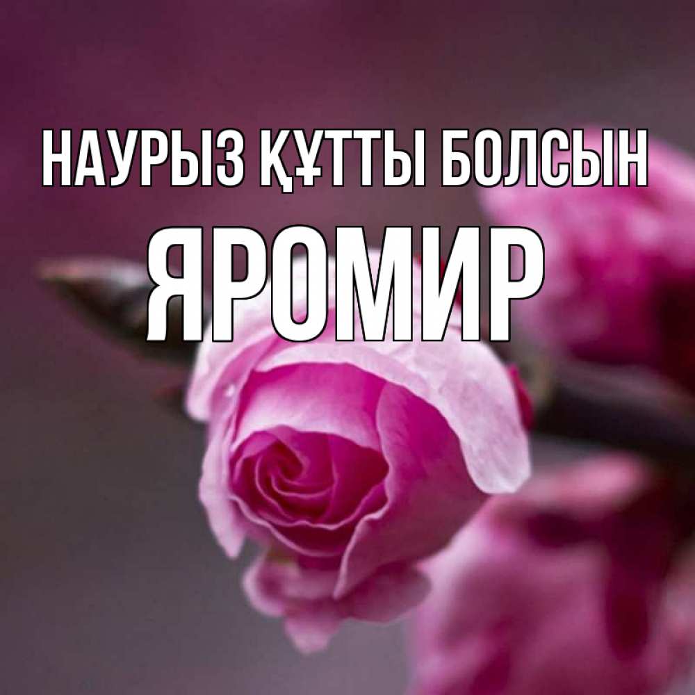 Открытка на каждый день с именем, Яромир Наурыз құтты болсын весна Прикольная открытка с пожеланием онлайн скачать бесплатно 