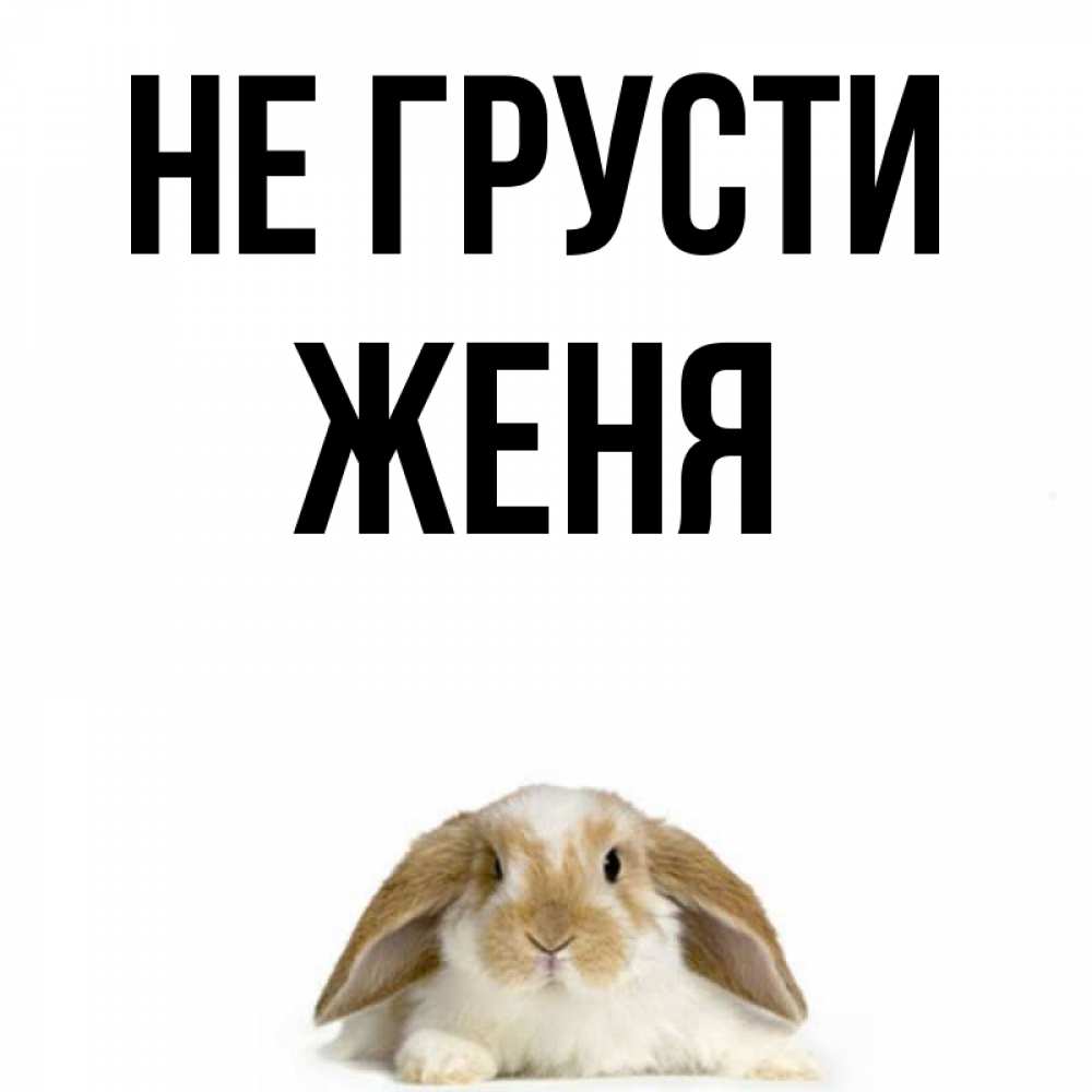 Не Надо Печалиться Картинки