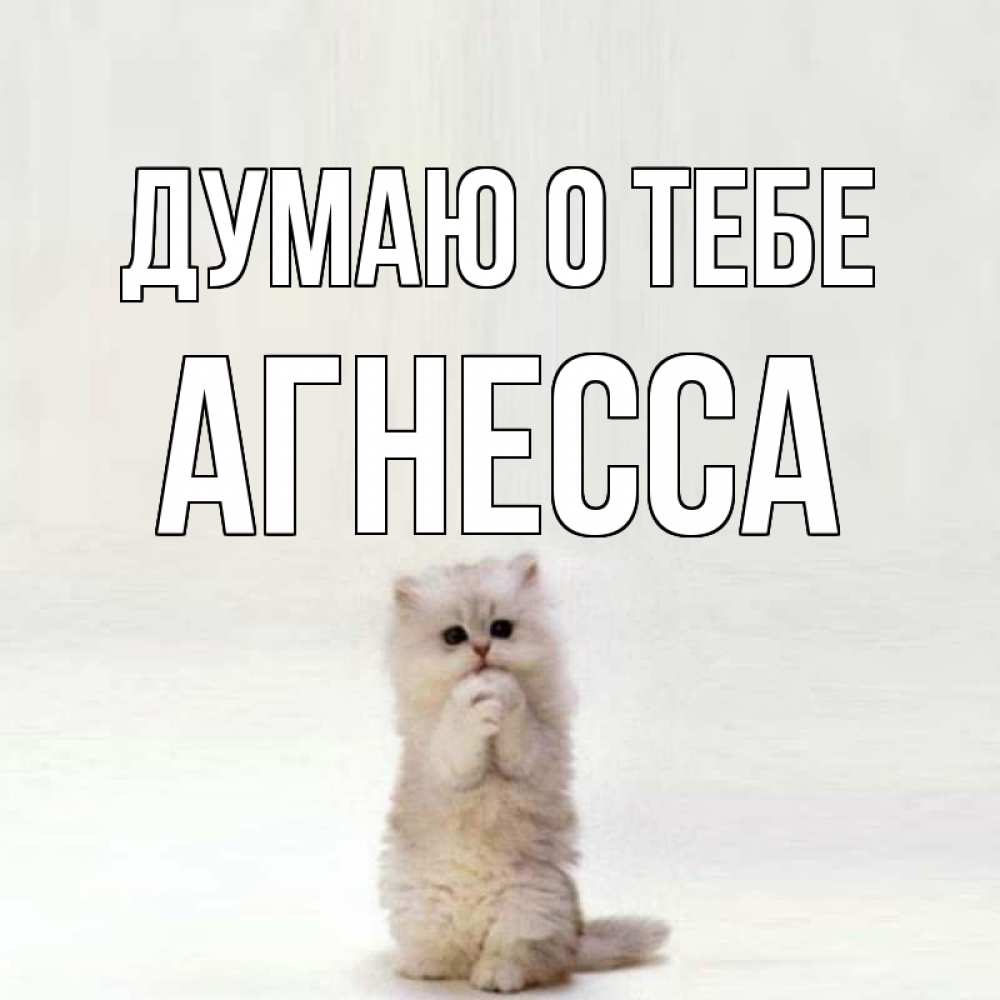 Открытка на каждый день с именем, Агнесса Думаю о тебе кот стоит на задних лапах Прикольная открытка с пожеланием онлайн скачать бесплатно 